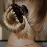 Signature Clip Petite - Dark Havana